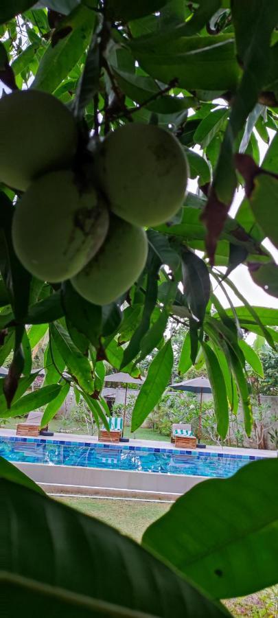 Mango Tree Villa Bentota Exteriör bild